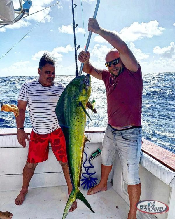 Big Marlin Charters Punta Cana report