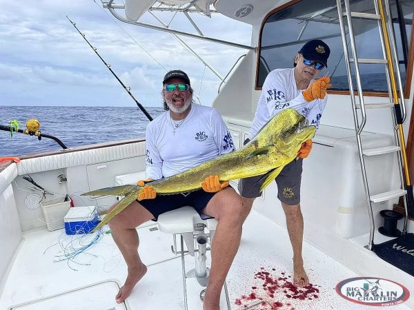 Big Marlin Charters Punta Cana report