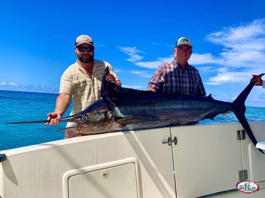 big marlin catched