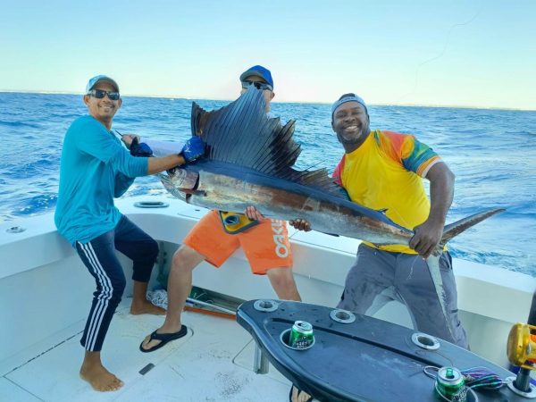 Blue Marine Punta Cana sailfish