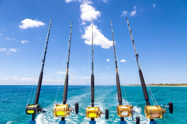 Boat Tours Samana