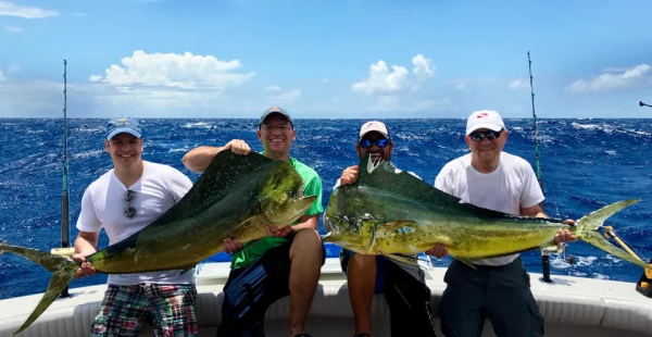 Boat Tours Samana - Image 2
