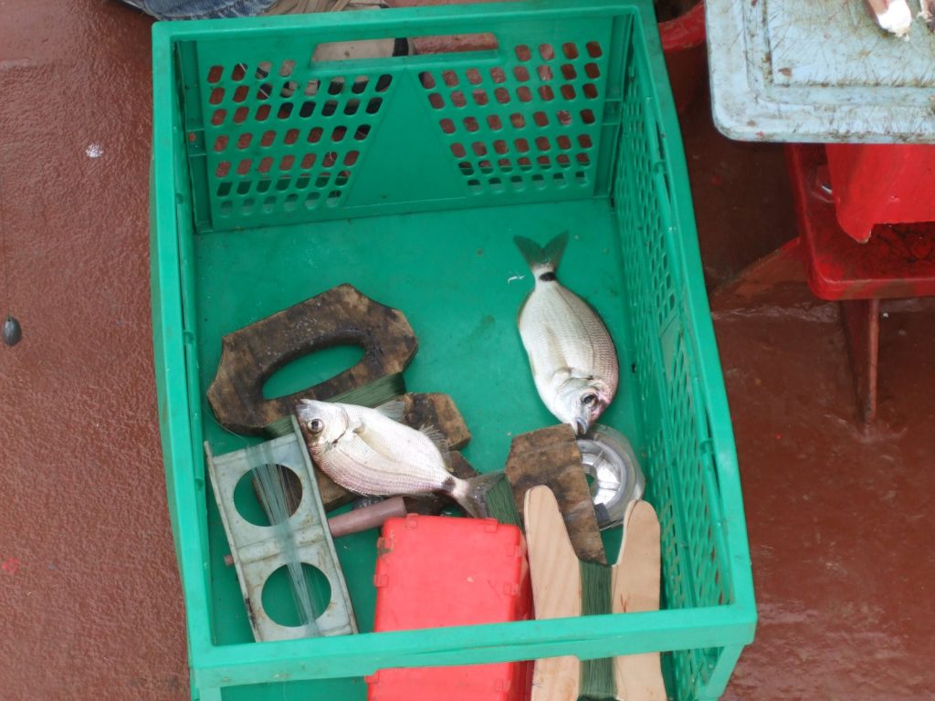 our sea food)