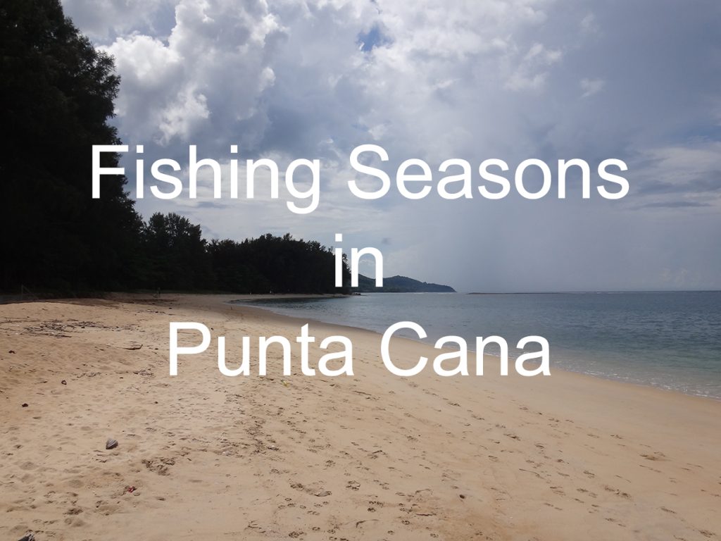 Fishing Seasons Punta Cana