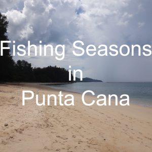 Fishing Seasons Punta Cana