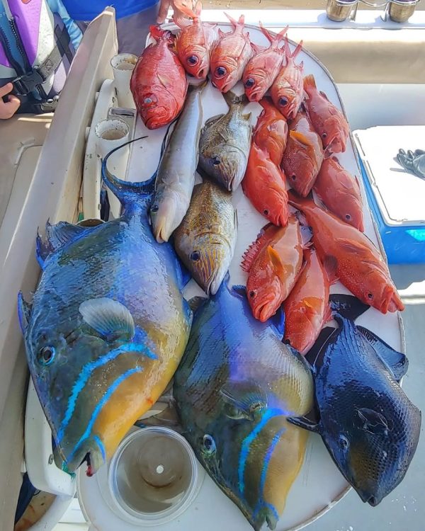 Fishing Charters Punta Cana report