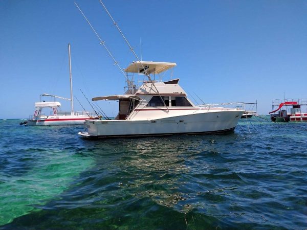 Fishing Pro Exclusive Punta Cana boat
