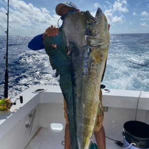 Fishing Pro Exclusive Punta Cana report