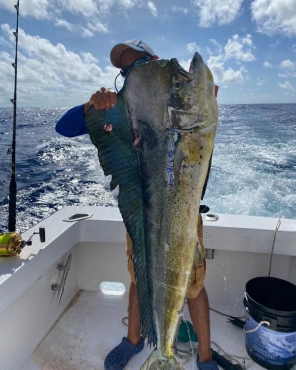 Fishing Pro Exclusive Punta Cana report