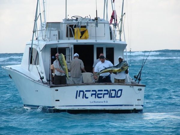 Punta Cana Fishing Charters - Image 2