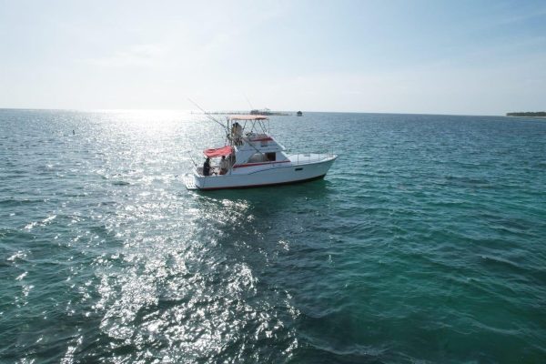 Grand Bay of the Sea