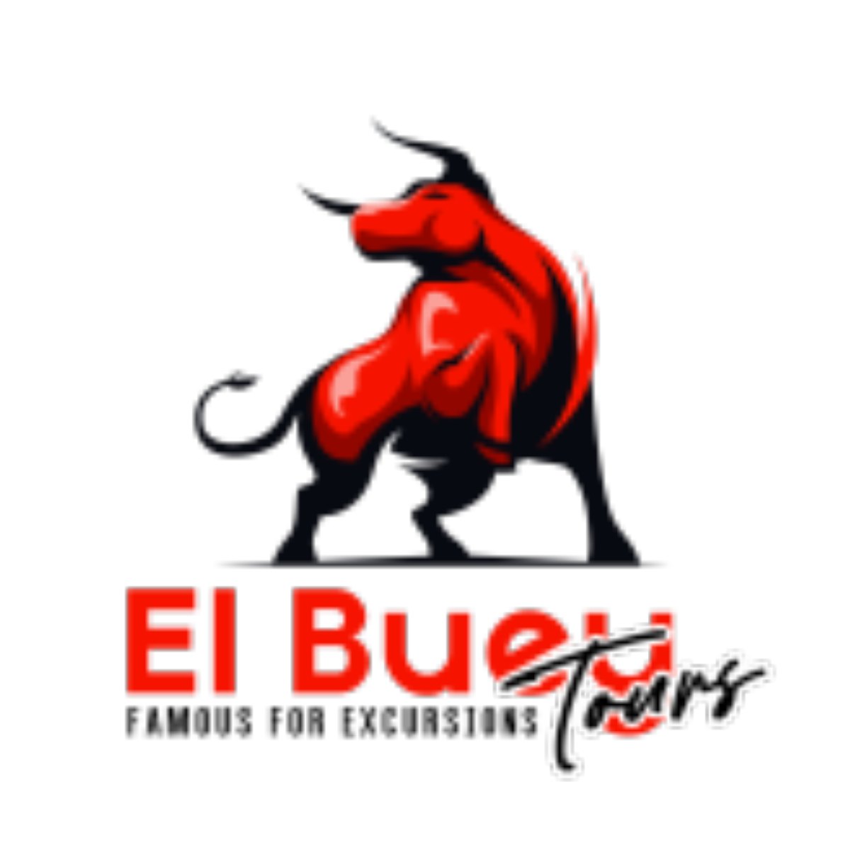 El Buey Tours logo