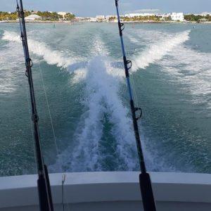 Mike's Marina Fishing Charters boat rental