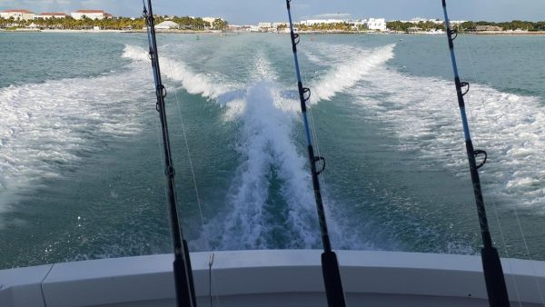Mike's Marina Fishing Charters boat rental