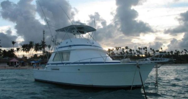Pink Cat Cana boat
