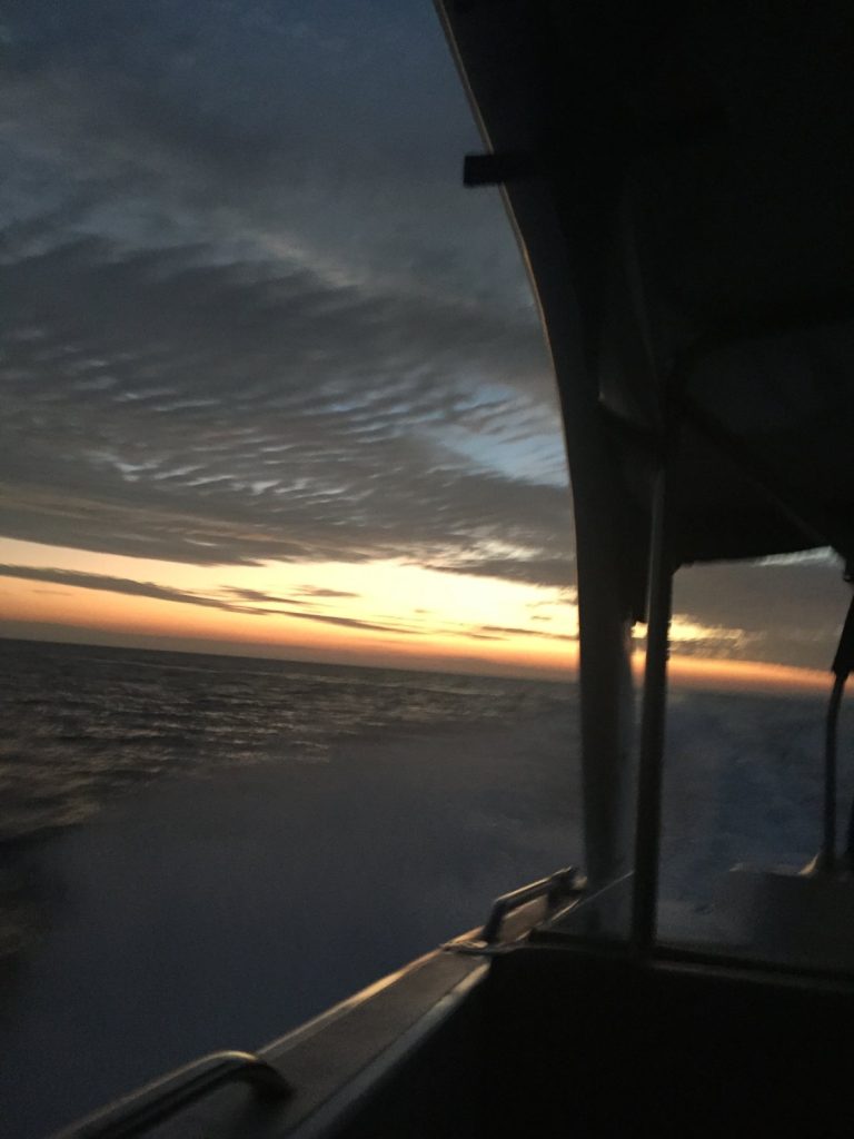 night is coming