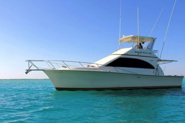 El Buey Tours fishing boat