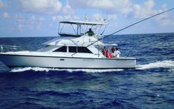 El Buey Tours boat rental