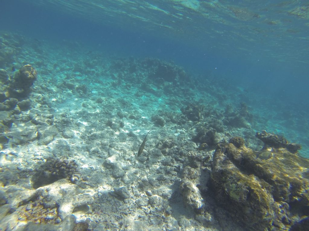 ultra clear water DR