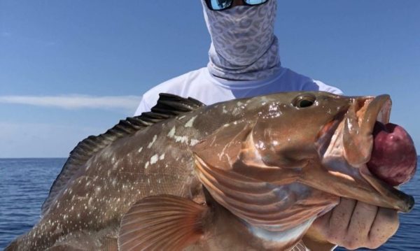 Santa Elena Fishing Charters Punta Cana big fish