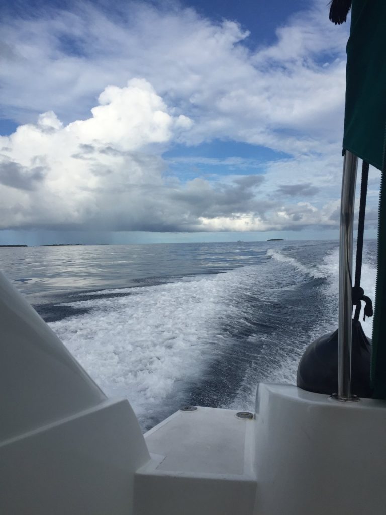 fishing started