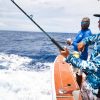 Tease Me Sportfishing Charters fishing