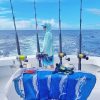 Tease Me Sportfishing Charters deep sea fishing