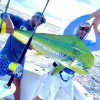 Tease Me Sportfishing Charters mahi