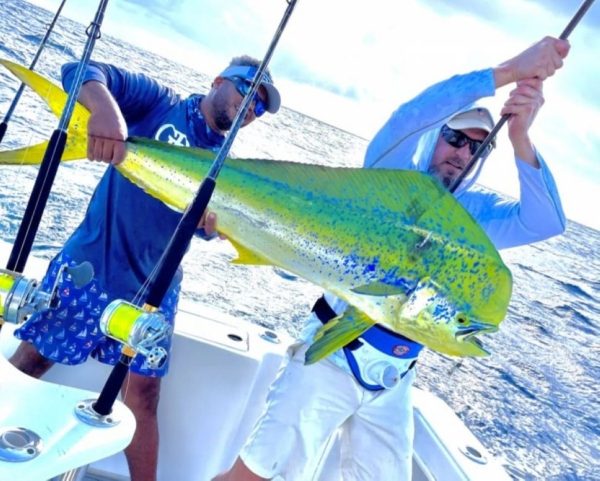 Tease Me Sportfishing Charters mahi