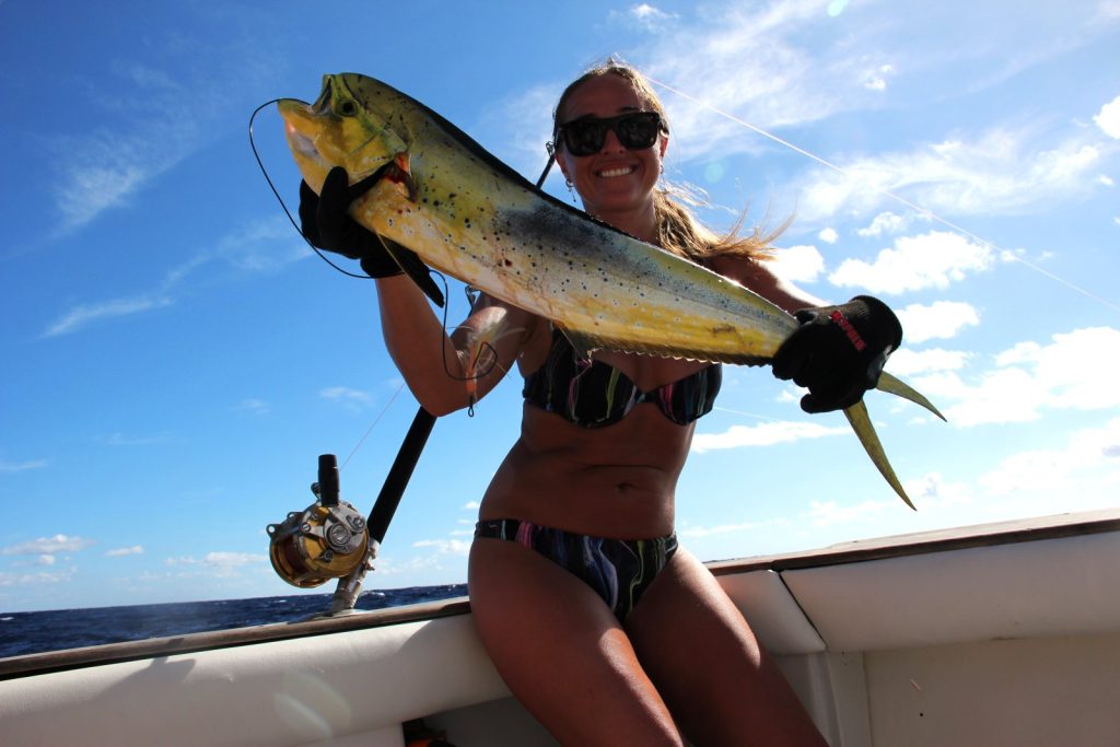 mahi mahi