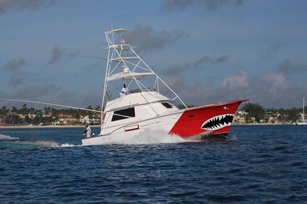 Yacht Charters Punta Cana - Image 3