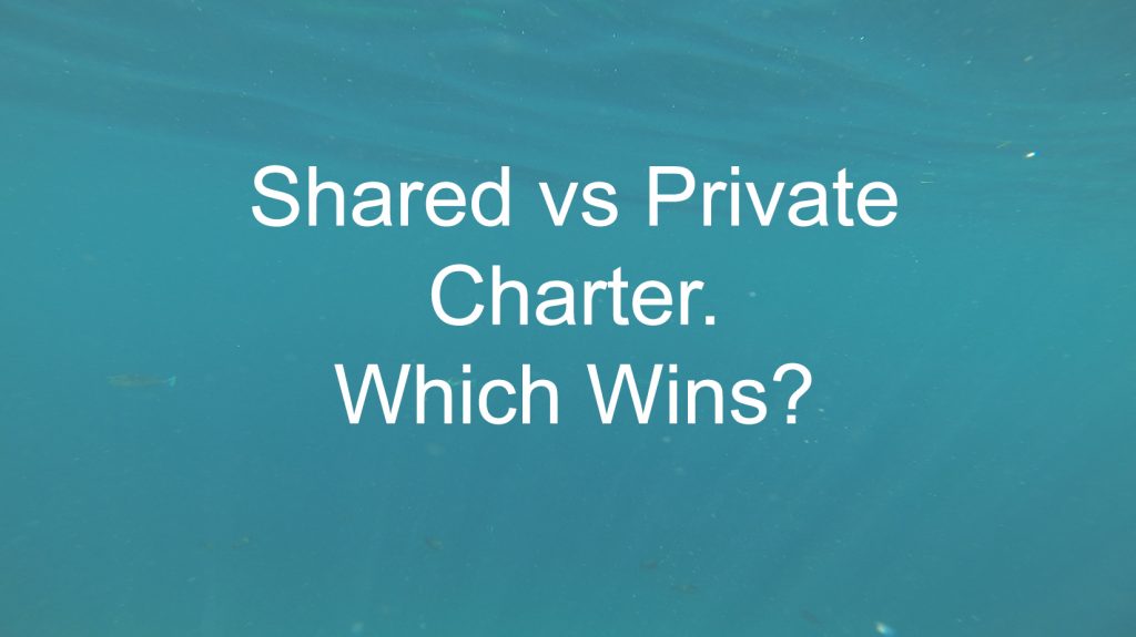 Shared or Private? The Real Answer